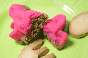 ブラキオサウルス断面